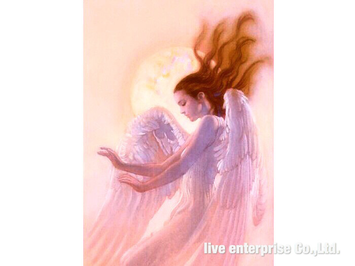 天界光カード ～美しい天使や女神～ | 石卸屋 Webショップ